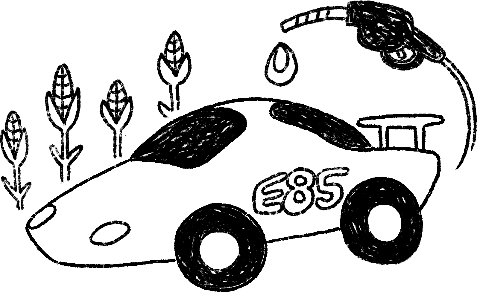 Biofuels and bioproducts