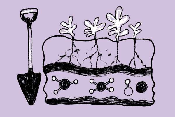 Soil and sustainability